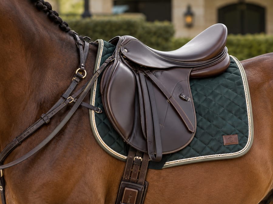 Saddles & Tack